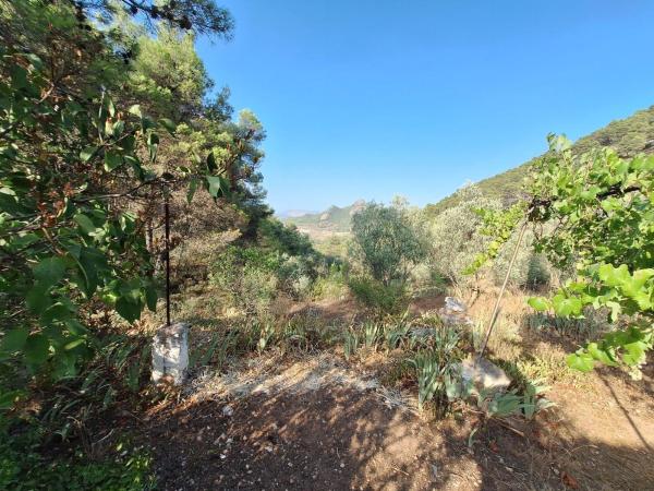 Rustic farm for sale in  Finca rústica en Partida Sentbenet Baix, Centro - Zona Alta, Alcoy / Alcoi , Alcoy photo 3