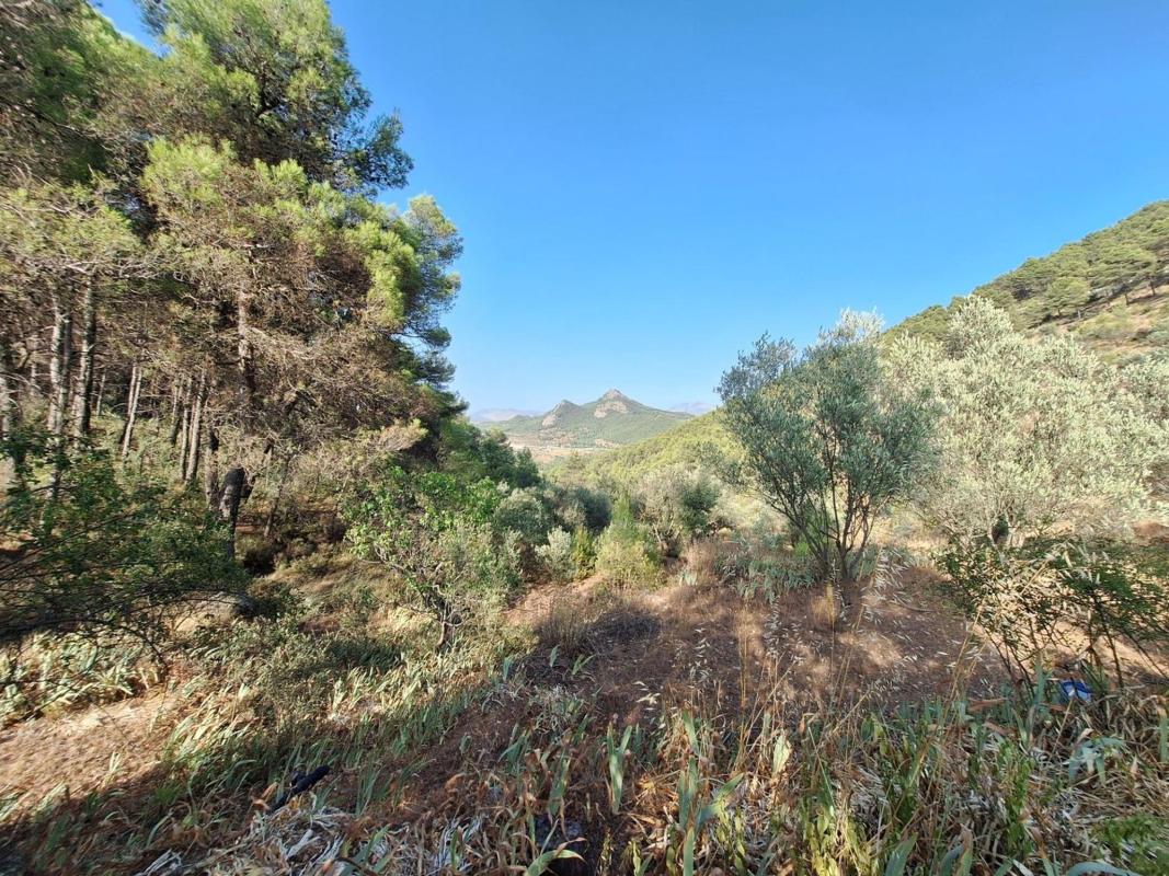 Продажа загородного участка в Finca rústica en Partida Sentbenet Baix, Centro - Zona Alta, Alcoy / Alcoi , Алкой photo 4
