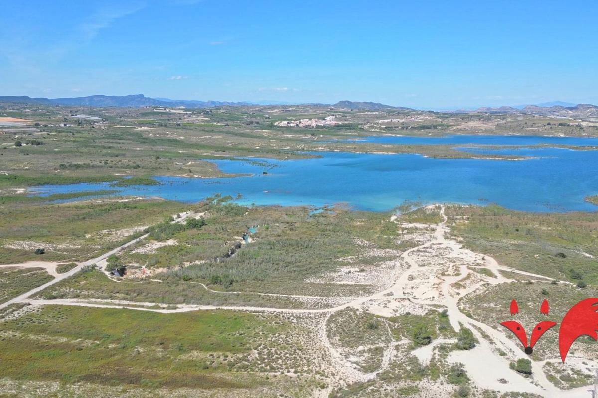 Продажа отдельного шале в  Casa o chalet independiente en Calle Rio Túria, Centro, San Miguel de Salinas, Сан-Мигель-де-Салинас photo 5