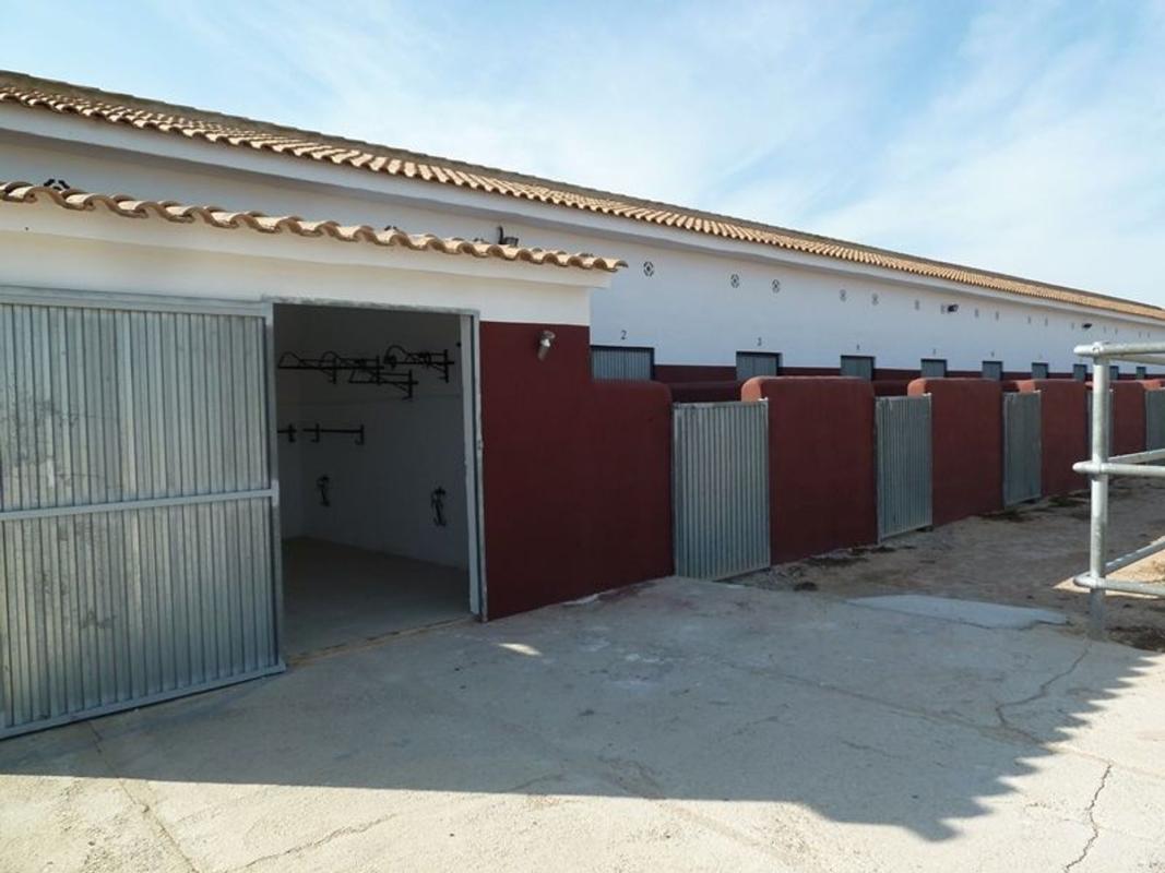 Продажа загородного участка в  Finca rústica en Cv-95, Centro, San Miguel de Salinas , Сан-Мигель-де-Салинас photo 4