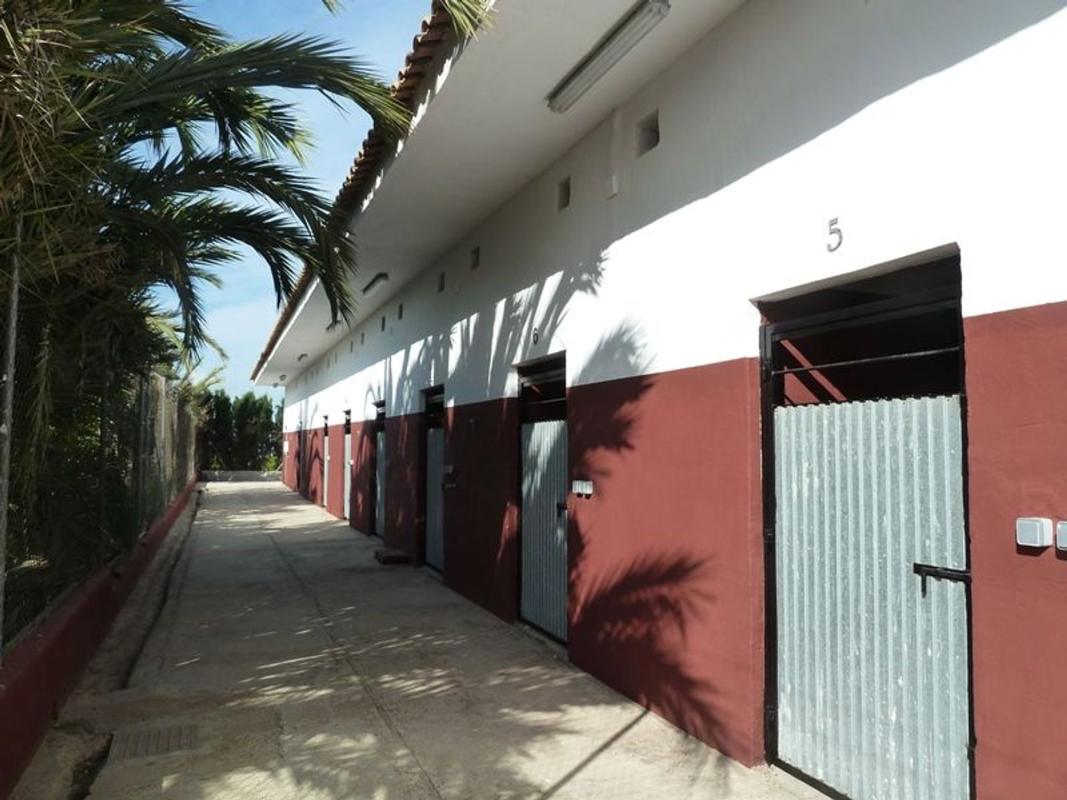 Продажа загородного участка в  Finca rústica en Cv-95, Centro, San Miguel de Salinas , Сан-Мигель-де-Салинас photo 5