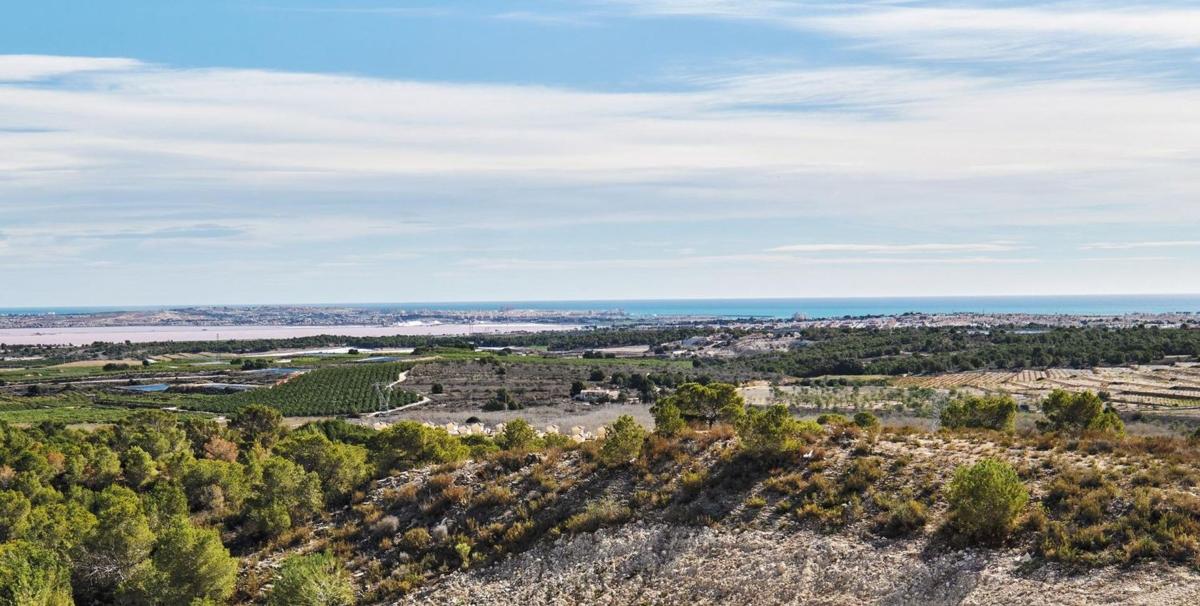 Sprzedaż niezależnego domku jednorodzinnego w  Casa o chalet independiente en Calle los Hernandez, La Cañada - Los Alcores, San Miguel de Salinas, San Miguel de Salinas photo 4