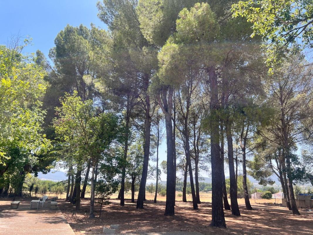 Sprzedaż niezależnego domku jednorodzinnego w Casa o chalet independiente en Polígono, Salinas, Salinas photo 3