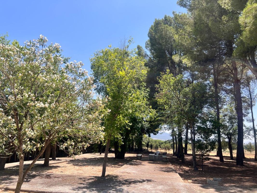 Sprzedaż niezależnego domku jednorodzinnego w Casa o chalet independiente en Polígono, Salinas, Salinas photo 4