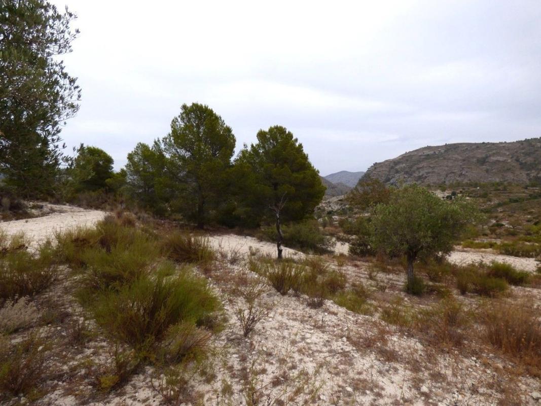 Terreno en venta en Relleu, Alicante photo 4