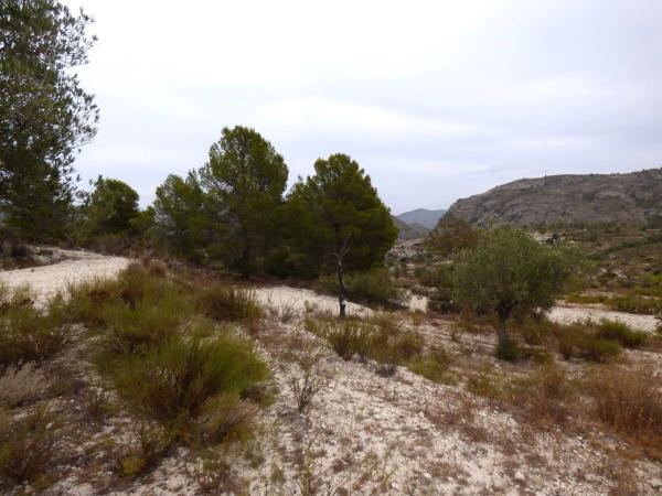 Terreno en Partida Fasamai, Relleu photo 4
