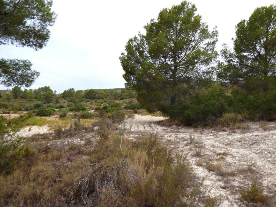 Terreno en venta en Relleu, Alicante photo 5