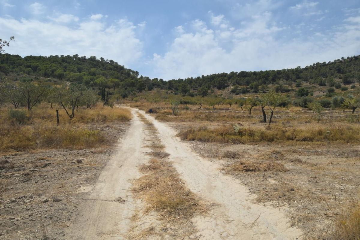 Terreno en venta en Relleu, Alicante photo 2