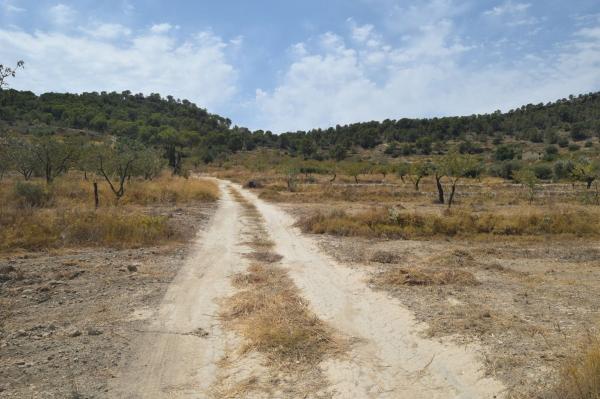 Terreno en Camino Macaroves, 82, Relleu photo 2