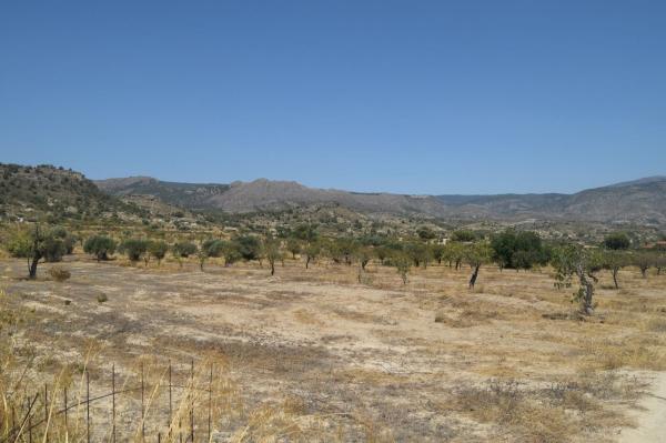 Terreno en Camino Macaroves, 82, Relleu photo 3