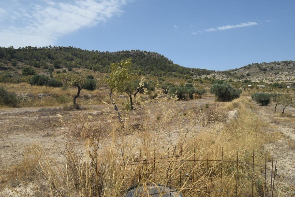 Terreno en venta en Relleu, Alicante photo 4
