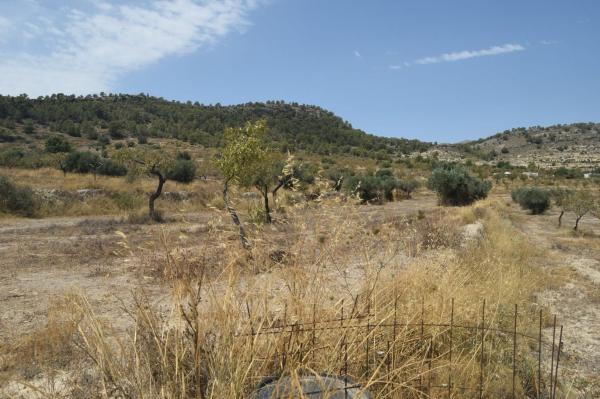 Terreno en Camino Macaroves, 82, Relleu photo 4
