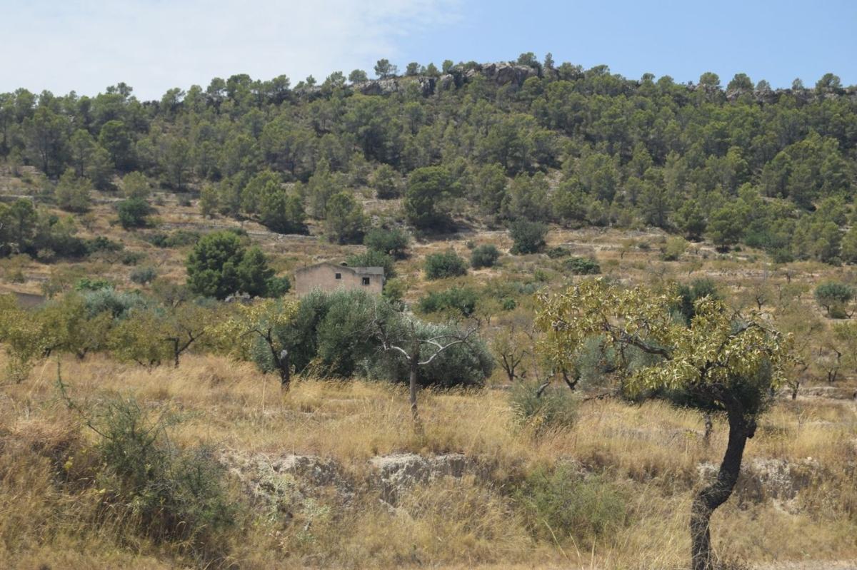 Terreno en venta en Relleu, Alicante photo 5