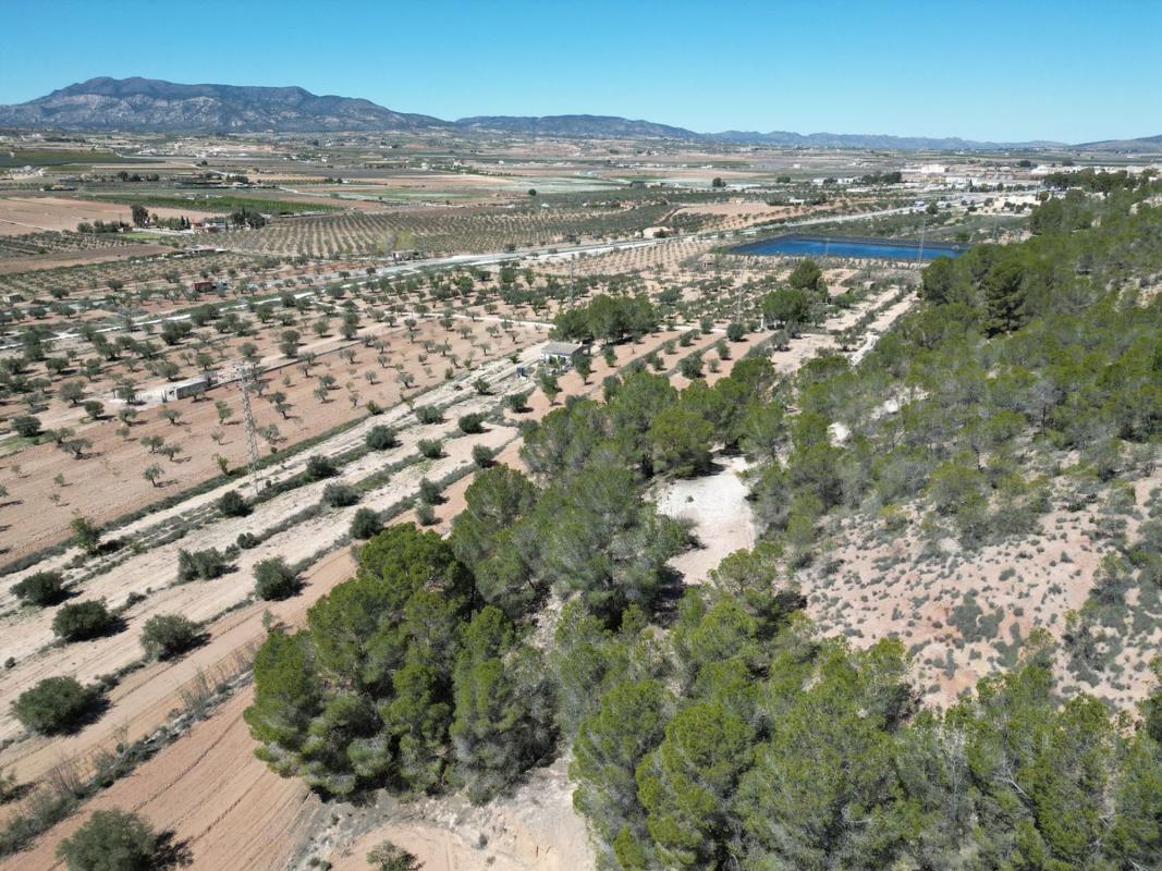 Terreno en venta en Pinoso, Alicante photo 2