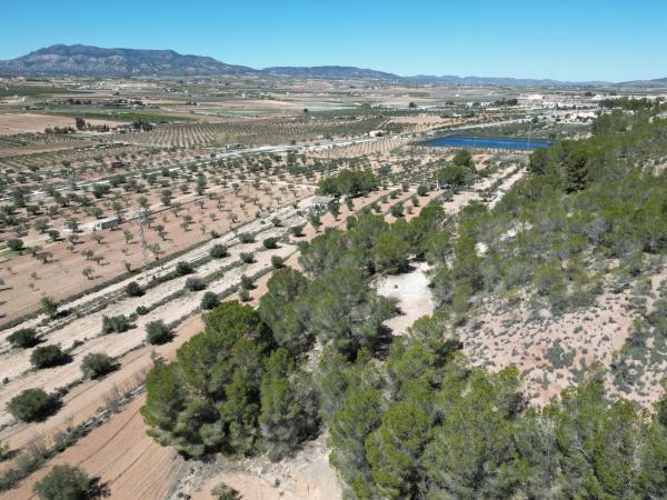 Terreno en 9xj5+wcf La Tejera s/n, Pinoso thumbnail 1