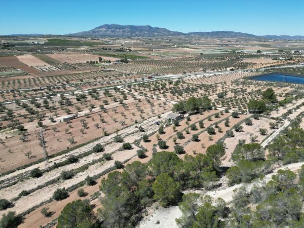 Terreno en 9xj5+wcf La Tejera s/n, Pinoso thumbnail 2