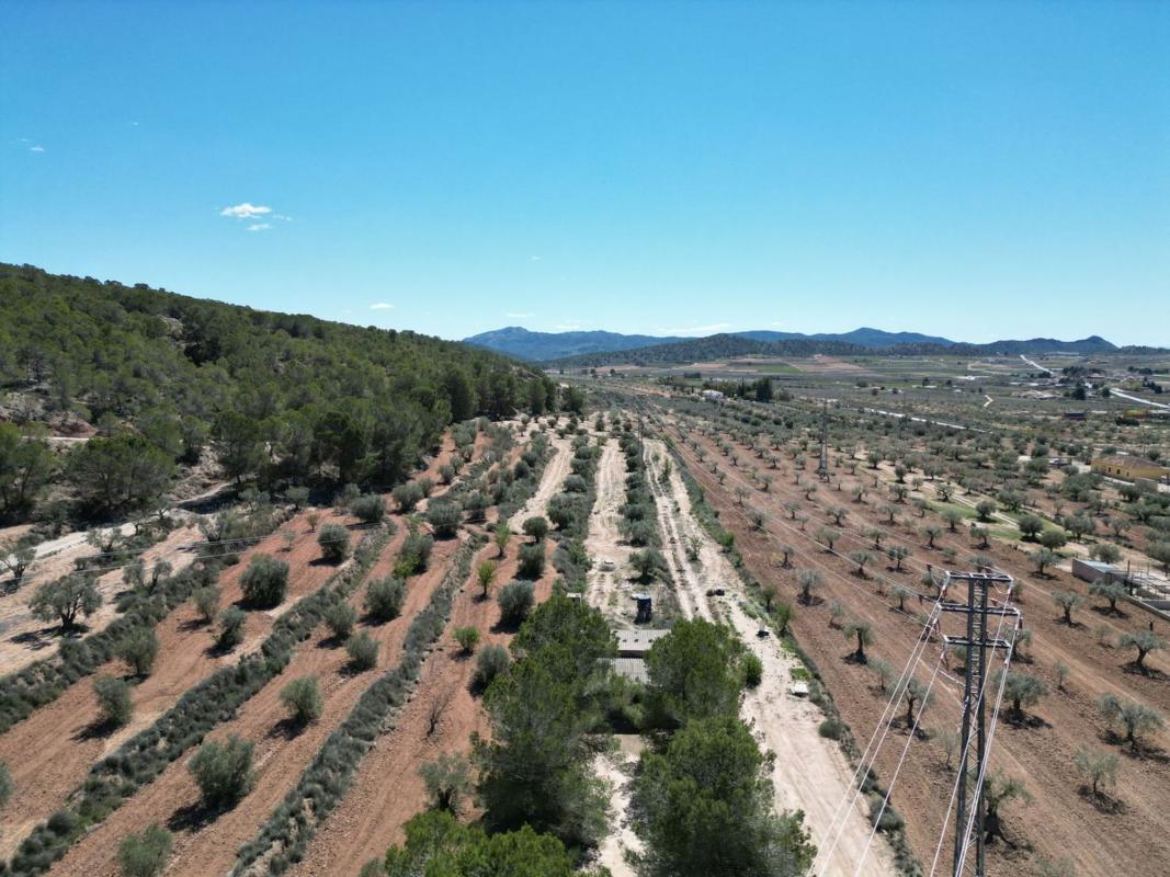 Terreno en venta en Pinoso, Alicante photo 4