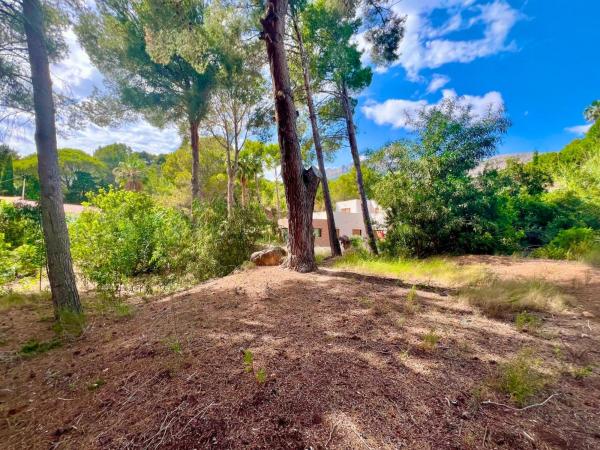 Terreno en Zona de Mascarat, Altea photo 1