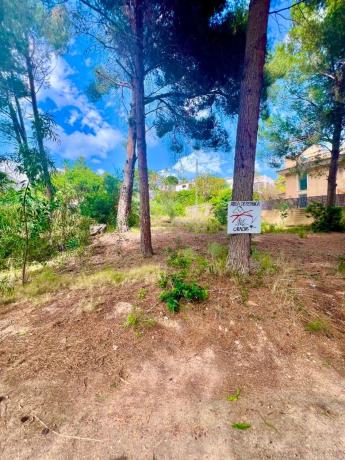 Terreno en Zona de Mascarat, Altea photo 4