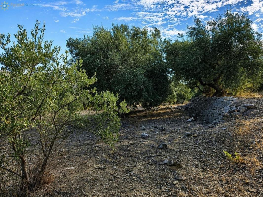 Terreno en venta en Adsubia, Alicante photo 3