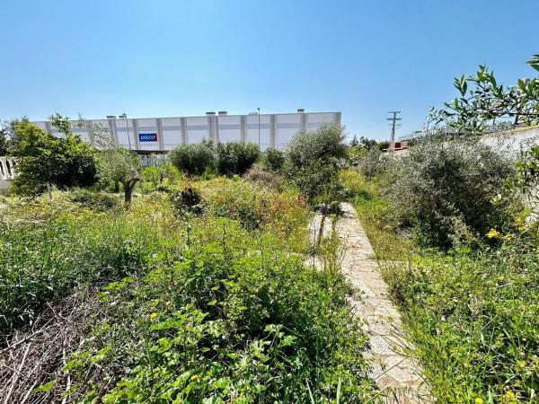 Terreno en Centro de la Ciudad Quesada, Rojales photo 4