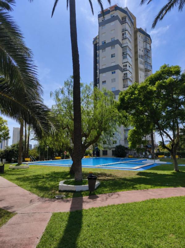 Sale of apartment in Piso en Avenida Nicaragua, 51, Pueblo Poniente, Benidorm, Benidorm
 photo 3