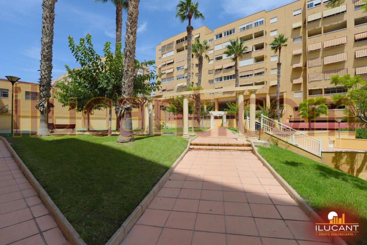 Sale of apartment in Piso en Babel, Alicante / Alacant, Alicante
 photo 3