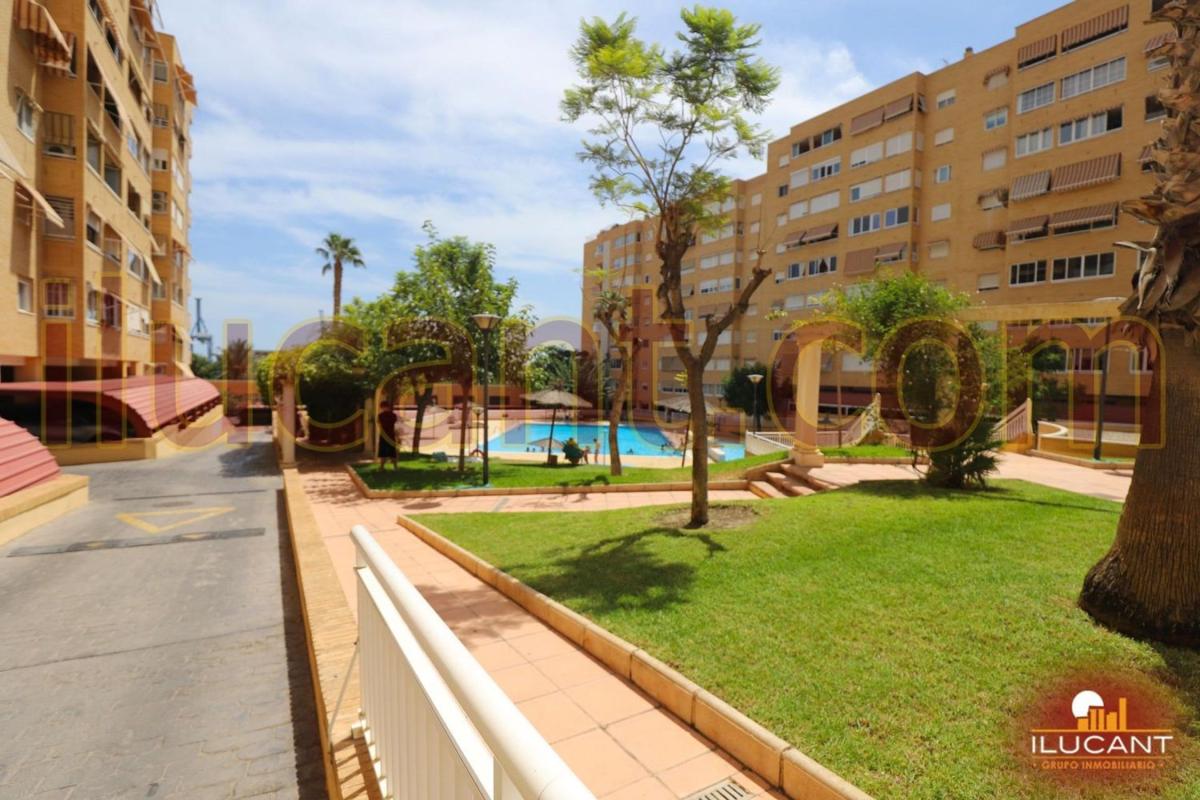 Sale of apartment in Piso en Babel, Alicante / Alacant, Alicante
 photo 5