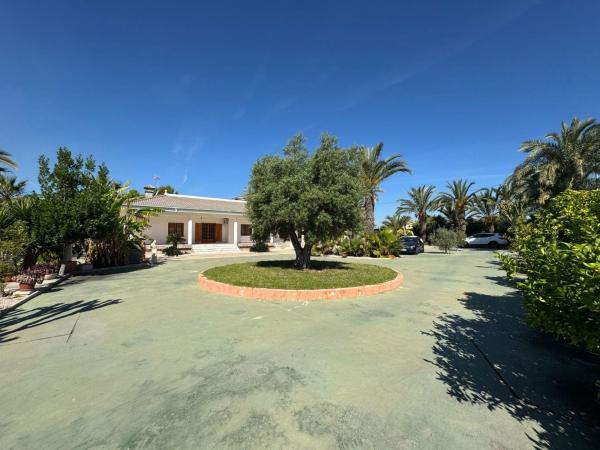 Casa o chalet independiente en Maitino-Perleta, Elche / Elx photo 4