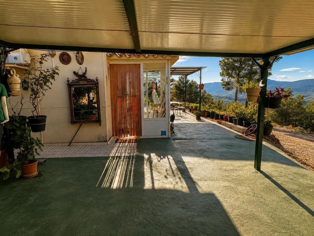 Sale of rural property in  Finca rústica en Avenida d'Espanya, Torremanzanas , Torremanzanas photo 2