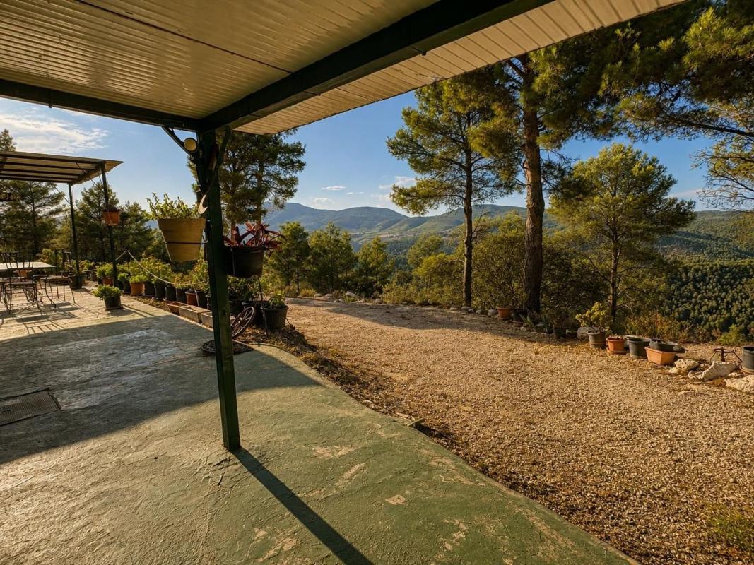 Sale of rural property in  Finca rústica en Avenida d'Espanya, Torremanzanas , Torremanzanas photo 3