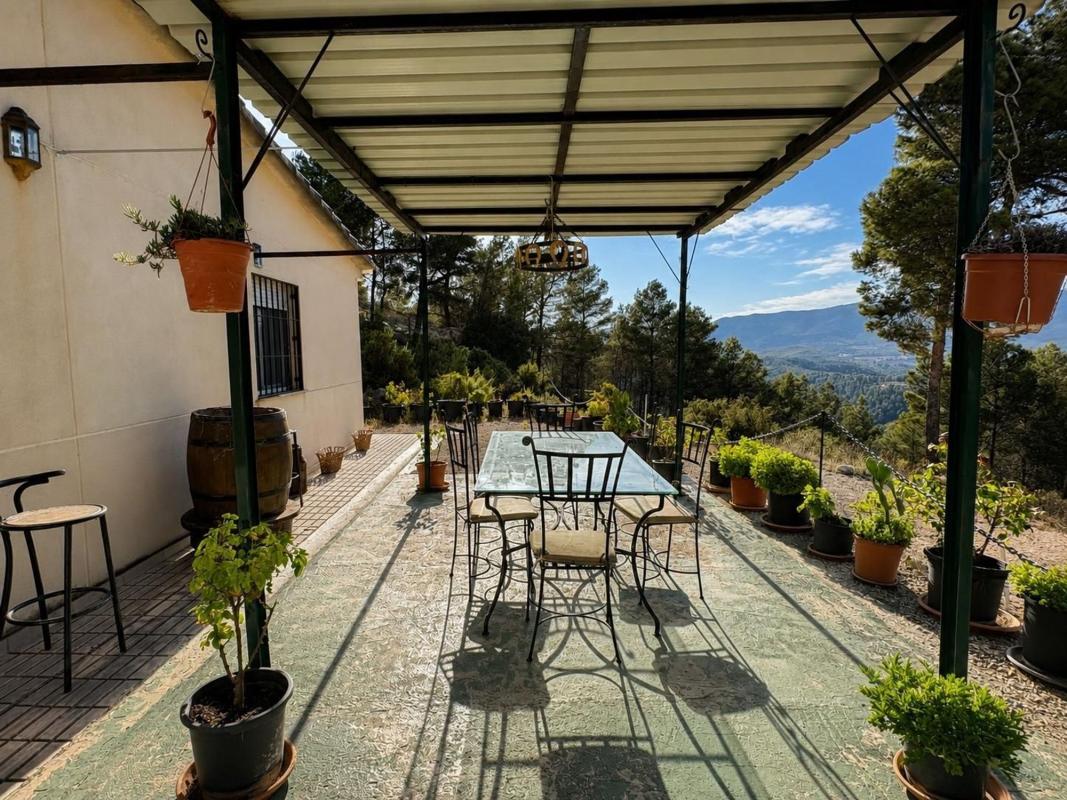 Sale of rural property in  Finca rústica en Avenida d'Espanya, Torremanzanas , Torremanzanas photo 5