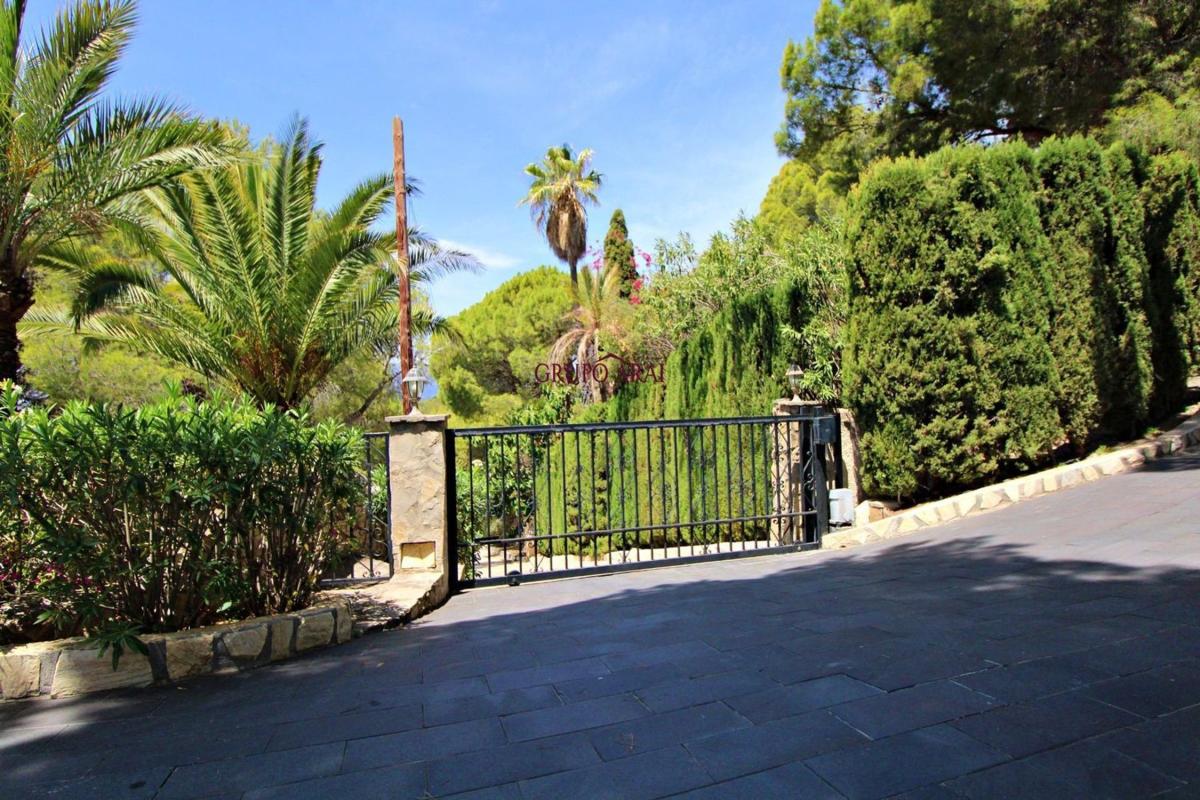 Properties for sale and rent in Spain photo 4
