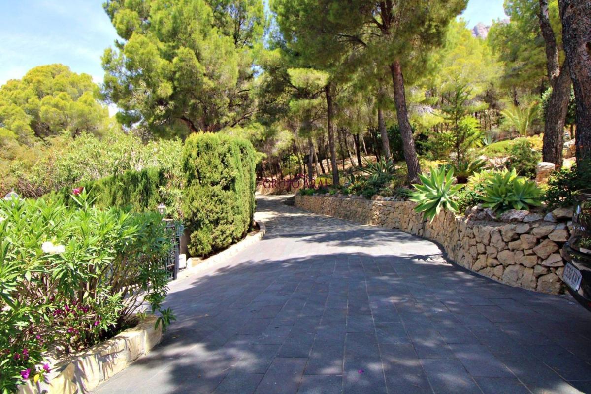 Properties for sale and rent in Spain photo 5