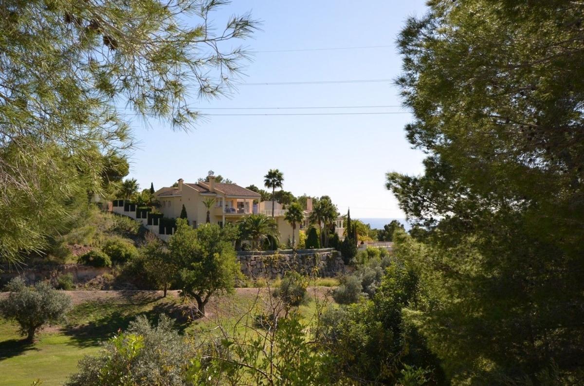 Properties for sale and rent in Spain photo 5