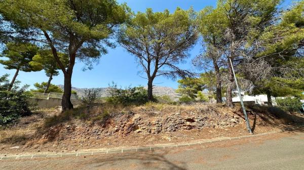 Terreno en Calle Figuera, Altea la Vella, Altea photo 1