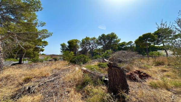 Terreno en Calle Figuera, Altea la Vella, Altea photo 4