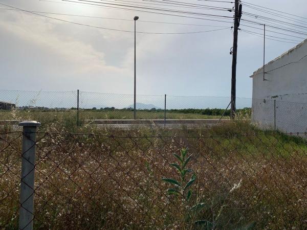 Terreno en Avenida de Palacios, 50, Formentera del Segura photo 4