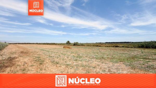 Terreno en Cv-860 s/n, San Fulgencio photo 1