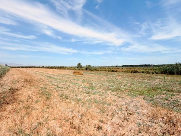 Terreno en Cv-860 s/n, San Fulgencio photo 2