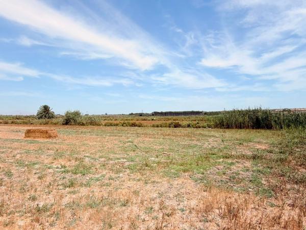 Terreno en Cv-860 s/n, San Fulgencio photo 3