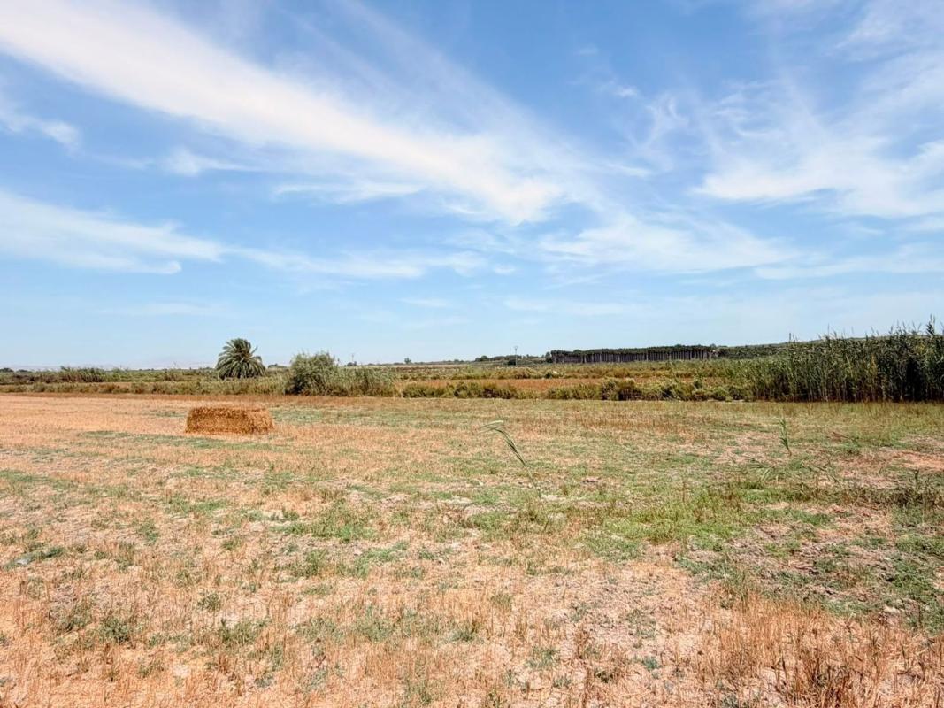 Land for sale in San Fulgencio, Alicante photo 4
