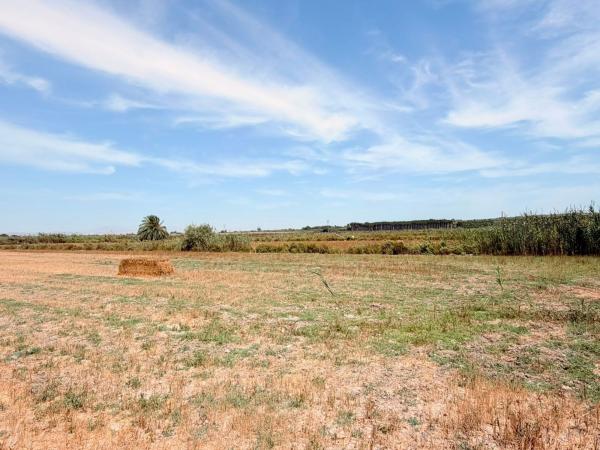 Terreno en Cv-860 s/n, San Fulgencio photo 4