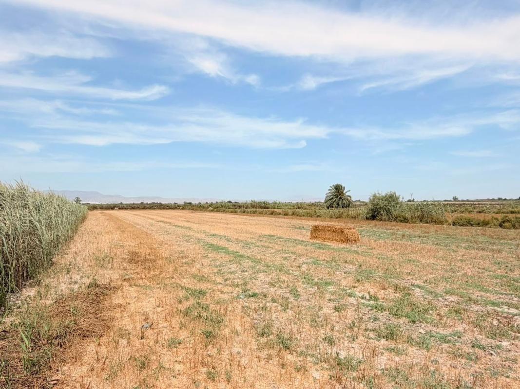 Land for sale in San Fulgencio, Alicante photo 5