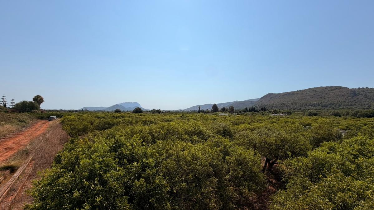 Land for sale in Benidoleig, Alicante photo 1