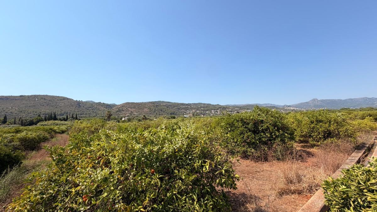 Land for sale in Benidoleig, Alicante photo 4