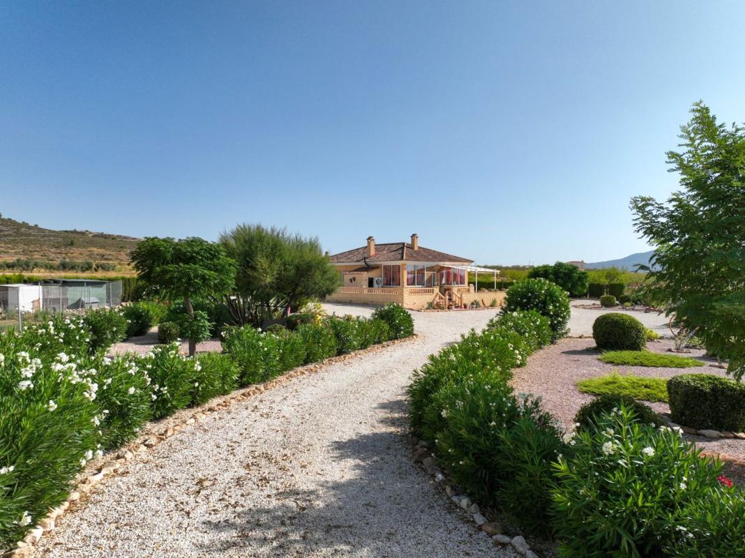 Продажа отдельного шале в Casa o chalet en partida, Pinoso, Пиносo photo 4