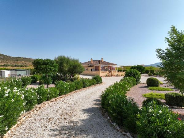 Частный шале на продаже в  Casa o chalet en partida, Pinoso, Пиносo photo 4