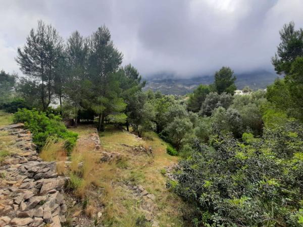 Terreno en Camino Corral de Calafat, El Montgó, Denia photo 3