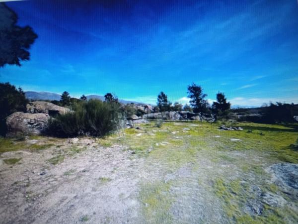 Terreno en Camino de la molineta, 792, Valverde, Elche / Elx photo